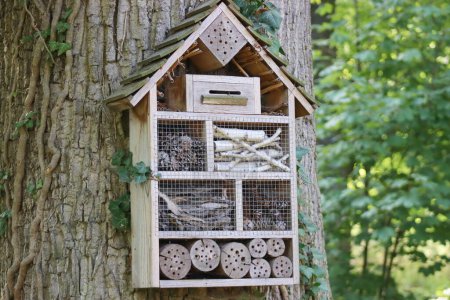 Téléchargez les photos : La maison des abeilles maçons rouges. Une boîte pour les abeilles maçon rouge, pollinisateurs de fleurs dans le jardin. - en image libre de droit