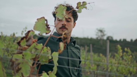 Foto de Viticultor italiano experimentado caminando plantación de uva buscando en los arbustos de vid amarilla primer plano. Graves viticultor rizado comprobar el crecimiento de la vid nublado día de otoño. Jóvenes agricultores inspeccionando viñedos - Imagen libre de derechos