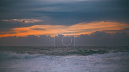 Photo for Summer evening seascape waving at beautiful cloudy sky. Bird flying over sea. Amazing foaming waves rolling swelling seashore at dawn. Endless seaside landscape in morning. Breathtaking natural beauty - Royalty Free Image