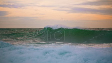 Photo for Ocean wave rolling dusk seaside at cloudy sky. Amazing morning sea landscape. Huge foaming surf swelling crashing shallow reef at beautiful pastel evening. Stormy morning seascape in super slow motion - Royalty Free Image