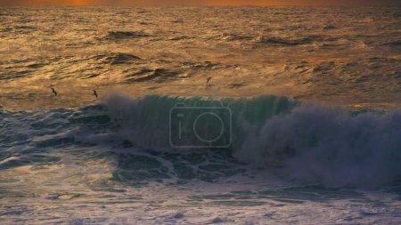 Photo for Large waves storm ocean view. Birds seagulls flying over stunning morning sea. Powerful surf rolling barreling in super slow motion. Dramatic white foaming water waving crashing surface in evening. - Royalty Free Image