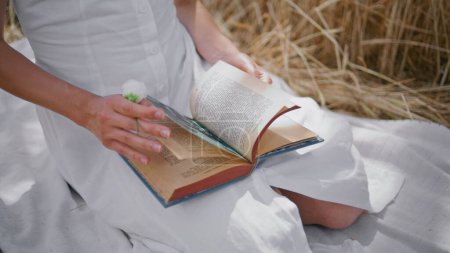 Woman hands turning book pages in rye spikelets nature closeup. Unrecognizable white dress girl sitting blanket relaxing at fresh air summer picnic. Unknown lady putting tender flower at novel folios