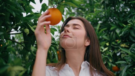 Photo for Brunette enjoying orange aroma sniffing fruit in botanical garden closeup. Satisfied young woman touching ripe tangerine standing under green trees. Tender lady smelling citrus scent in vivid nature - Royalty Free Image