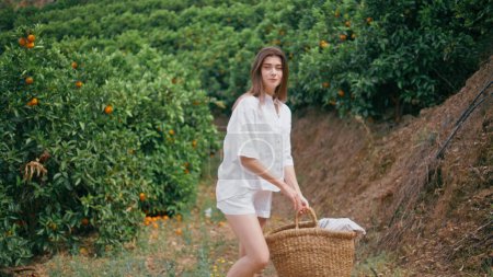 Photo for Country lady holding basket resting tangerine trees slopes. Brunette model looking camera posing at vivid green nature. Young woman taking break at orange plantation landscape. Tropical fruits harvest - Royalty Free Image