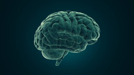 Photo for Medical image of the human brain 3d illustration - Royalty Free Image
