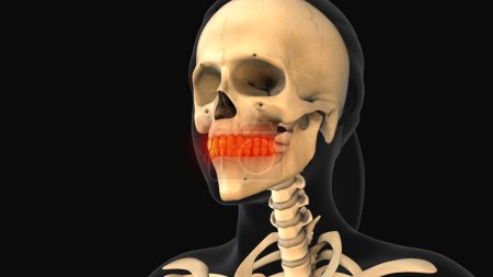 Foto de Animación médica del dolor dental - Imagen libre de derechos