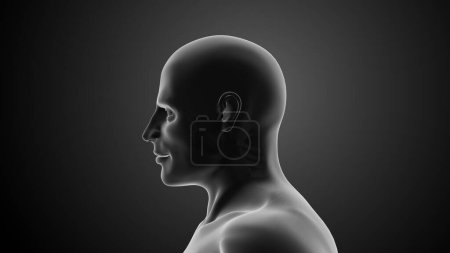 Photo for Cervical spine or neck injuries - Royalty Free Image