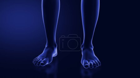 Photo for Ball of foot pain or Metatarsalgia - Royalty Free Image