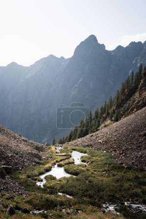 Foto de Paisaje montañoso con un humedal, lago y río en primer plano en el macizo de Ecrins en los Alpes franceses cerca de Galibier - Imagen libre de derechos