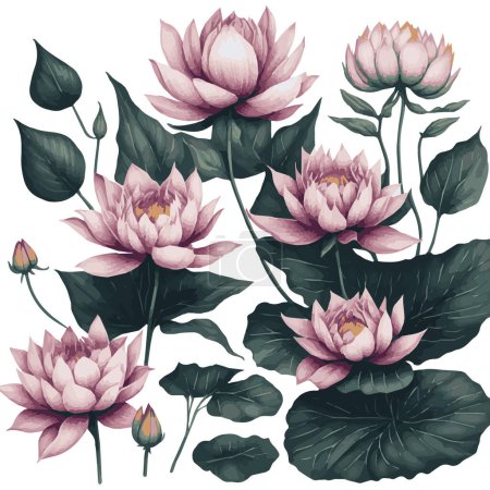 Photo for Watercolor lotus Clipart Set, Realistic Floral Illustrations - Royalty Free Image