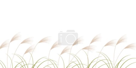 Illustration for Silver Grass Autumn Fifteen Nights Background - Royalty Free Image