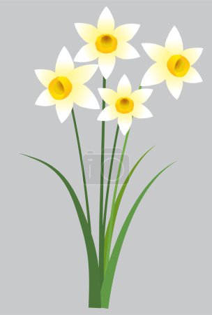 Illustration for Narcissus Flower Japanese Pattern Plant Icon - Royalty Free Image