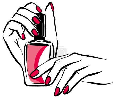 manucure mains féminines tenant une bouteille de vernis à ongles dessin vectoriel