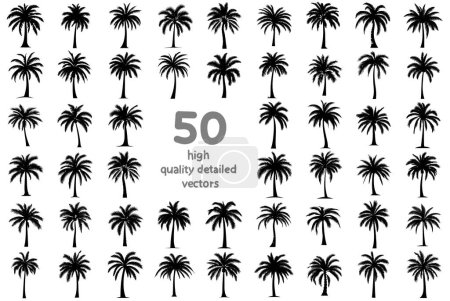 Foto de Conjunto de siluetas de palmeras imágenes vectoriales sobre un fondo blanco - Imagen libre de derechos