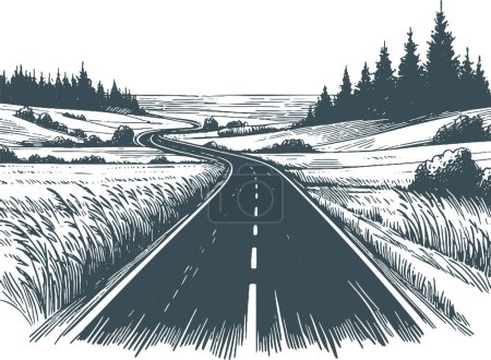 country road going into the distance between meadows, fields and forests vector drawing