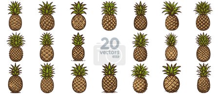 pineapple simple color vector drawing art collection with different drawing style