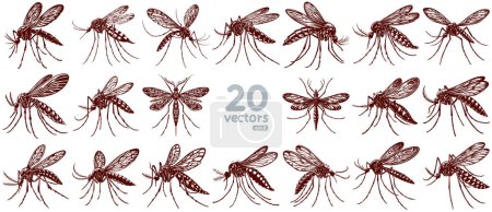 Téléchargez les illustrations : Collection de moustiques de dessins vectoriels monochromes - en licence libre de droit