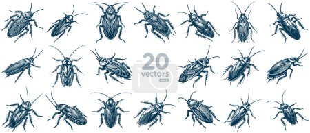 Sammlung monochromer Vektorzeichnungen von Kakerlaken