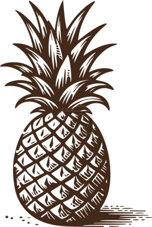beautiful pineapple in simple vector illustration on white background