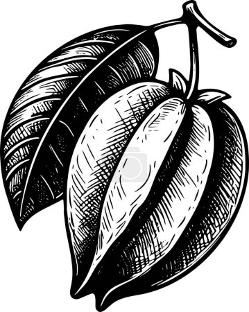 Carambola with leaf isolated vector monochrome drawing illustration on white background