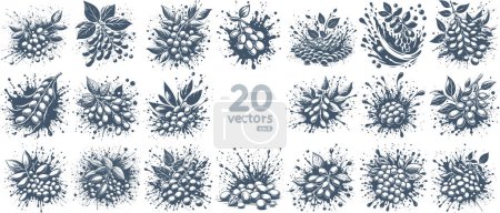 soybean stencil vector illustration collection