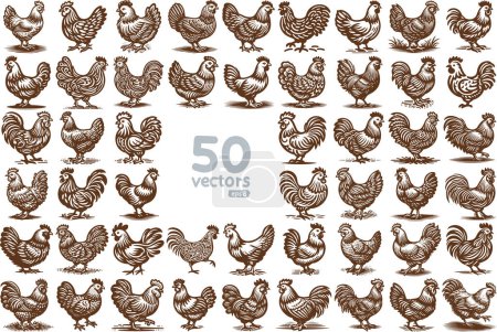 chicken and rooster in a large collection of vector illustration