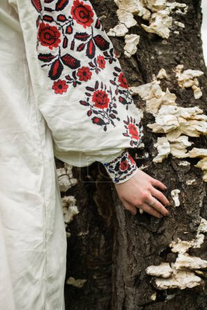 Photo for Girls hand is dressed in an ethnic antique linen dress with an embroidered floral pattern on the sleeve, touching the trunk of a tree overgrown with mushrooms with her fingers, close-up - Royalty Free Image