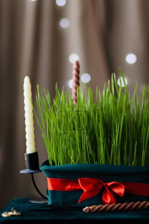 Téléchargez les photos : Le germe de blé est attaché avec un ruban rouge parmi les bougies, un symbole de la fête de Novruz de la nouvelle année des peuples iraniens. Fête de l'équinoxe de printemps, plan rapproché verticalement - en image libre de droit