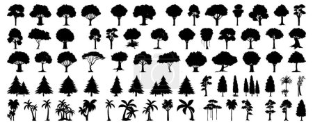 Photo for Silhouette tree line drawing set, Side view, set of graphics trees elements outline symbol for architecture and landscape design drawing. Vector illustration - Royalty Free Image