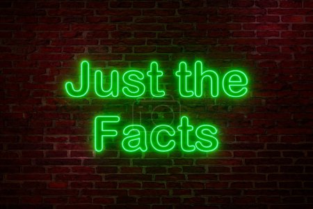 Nur die Fakten, Leuchtreklame. Ziegelwand in der Nacht mit dem Text "Just the Facts" in grünen Leuchtbuchstaben. Ankündigungsbotschaft, Genauigkeit, Wahrheit, rechtliche Vorgehensweise, Beweise und Beratung. 3D-Illustration 