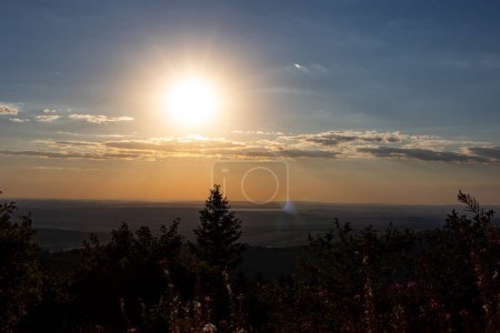 Téléchargez les photos : Vue de la montagne Feldberg en Hesse, Allemagne. Quelques buissons et arbustes au premier plan. En arrière-plan le vaste paysage avec des collines et des nuages. Vue large Feldberg au coucher du soleil. - en image libre de droit