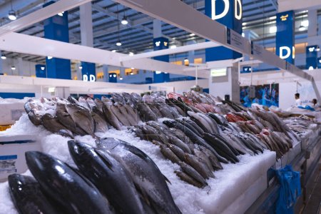 Photo for United Arab Emirates, Dubai, Deira waterfront fish market, April 2023: Retailers offer fresh fish and crustaceans at their stalls. Different kinds of fish on ice. Cod, Hamour fish, sea bream, Shari fish, kingfish, , freshness, salmon, fin, catch, pra - Royalty Free Image