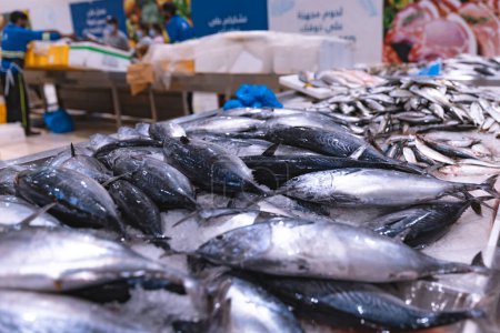 Photo for United Arab Emirates, Dubai, Deira waterfront fish market, April 2023: Retailers offer fresh fish and crustaceans at their stalls. Different kinds of fish on ice. Cod, Hamour fish, sea bream, Shari fish, kingfish, , freshness, salmon, fin, catch, pra - Royalty Free Image