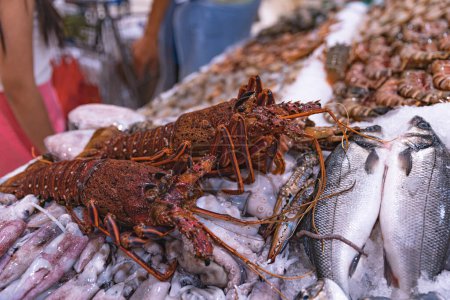 Photo for United Arab Emirates, Dubai, Deira waterfront fish market April 2023: Close-up lobster on the fish market. Retailers offer fresh fish, crustaceans at their stalls in the market. Different kinds of fish on ice. Cod,  sea bream, kingfish, prawn and shr - Royalty Free Image