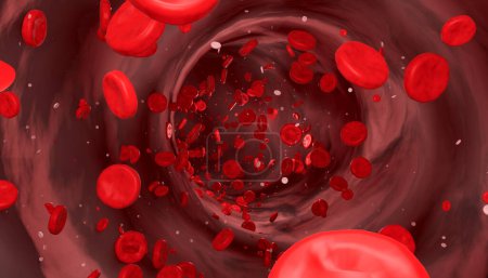 Cellules sanguines circulant dans la veine. Hémoglobine, corpuscule, circulation sanguine, artère, plasma sanguin. Illustration 3D