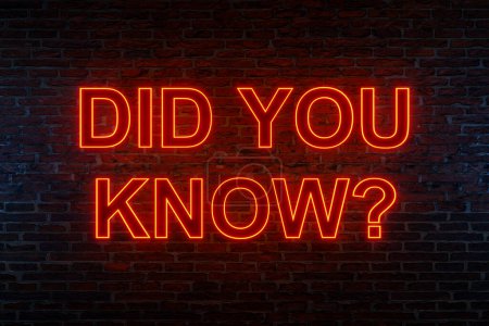 Did you know? Brick wall at night with the text "Did you know?" in orange neon letters. Asking, knowledge, education. 3D illustration 