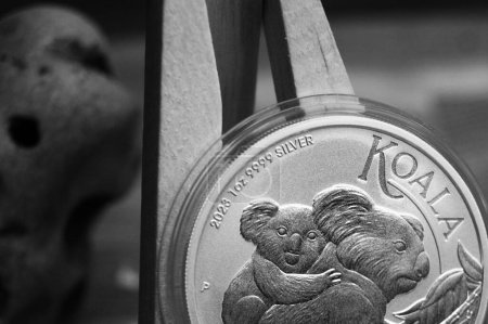 Reine Silbermünze 1 Dollar Australischer Koala 2023 aus nächster Nähe. Schwarz-Weiß-Bild.