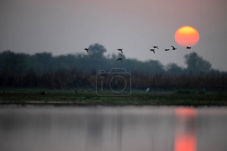 Téléchargez les photos : Magnifique coucher de soleil sur le lac - en image libre de droit