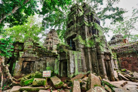 Innenansicht von Ta Phrom - Ikonischer Tempel der Khmer aus dem 12. Jahrhundert in Angkor, erbaut von Jayavarman VII. mit Baumwurzeln, die mit der Tempelstruktur verflochten sind, berühmt durch Tomb Raider Film mit Angeline Jolie in Siem Reap, Kambodscha, Asien