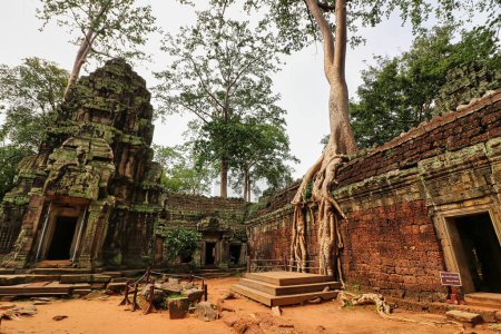 Photo for Ta Phrom - Iconic 12th century Angkor Khmer Temple built by Jayavarman VII with Tree roots intertwined with the temple structure, famous for Tomb Raider movie featuring Angeline Jolie at Siem Reap, Cambodia, Asia - Royalty Free Image