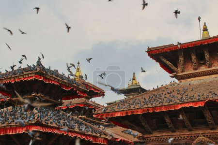 Pigeons take flight at the busy Durbar square, landmark city center with historic wood built mandaps,pavillions,temples and shrines at Kathmandu,Nepal