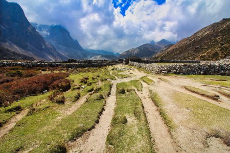 Téléchargez les photos : Prairies alpines le long de la vallée de Khumbu près du village de Periche en direction du sud vers Namche Bazaar sur le sentier du camp de base Everest à Khumbu, Népal - en image libre de droit