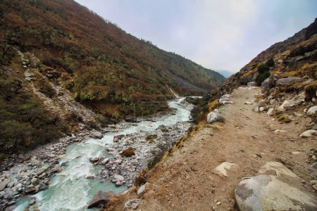 El Khumbu Khola fluye río abajo a través de matorrales, prados y bosques hasta el bazar Namche, donde se une al río Dudh kosi en Nepal.