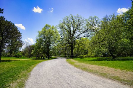Beaux sentiers ensoleillés à l'intérieur de l'Arboretum du Dominion d'Ottawa par une chaude journée de printemps