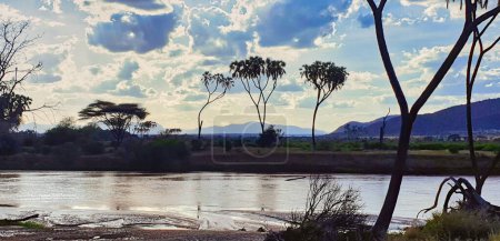 Silhouttes de Doum Palms, endémique du nord du Kenya et trouvé le long de la rivière Ewaso Ngiro sont vus dans cette vue panoramique à la réserve de Buffalo Springs dans le comté de Samburu, Kenya
