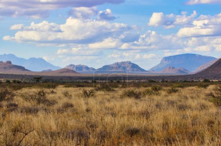 Panoramic landscape of the vast savanna with its big sky country with Mount Ololokwe, sacred to the Samburu people in this scene at the Buffalo Springs Reserve in Samburu County, Kenya