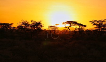 Una puesta de sol ardiente sobre la pintoresca reserva de samburu salpicada de acacias y magnífica vida silvestre vista aquí en la Reserva Buffalo Springs en el Condado de Samburu, Kenia