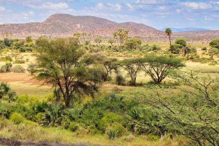 Vista panorámica del vasto ecosistema de Samburu con densos arbustos, sabanas y colinas en la distancia que proporcionan una experiencia única para los visitantes en la Reserva Buffalo Springs en el Condado de Samburu, Kenia