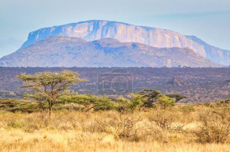 Mount Ololokwe,sacred to the local Samburu tribe dominates the vast Samburu reserve seen here in the panoramic view at the Buffalo Springs Reserve in Kenya