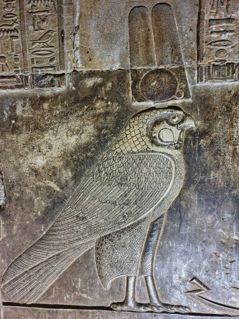 Téléchargez les photos : Gros plan du relief Horus à l'intérieur de la crypte de Dendera dans le temple d'Hathor à Dendera achevé à l'époque ptolémaïque autour de 50 avant JC entre les villes de Louxor et Abydos, Egypte - en image libre de droit